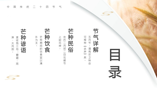 麦穗芒种节气介绍PPT模板