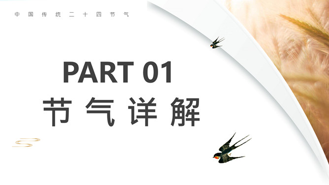 麦穗芒种节气介绍PPT模板