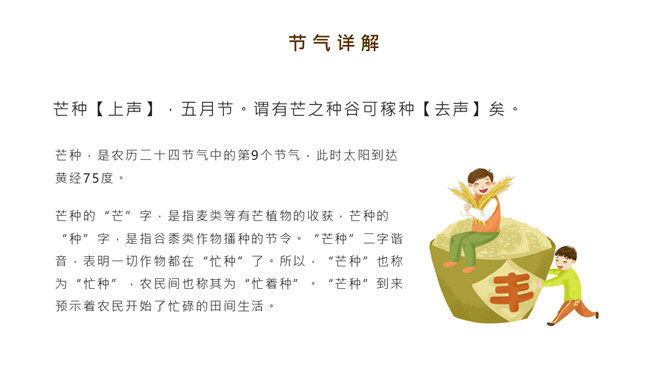 麦穗芒种节气介绍PPT模板