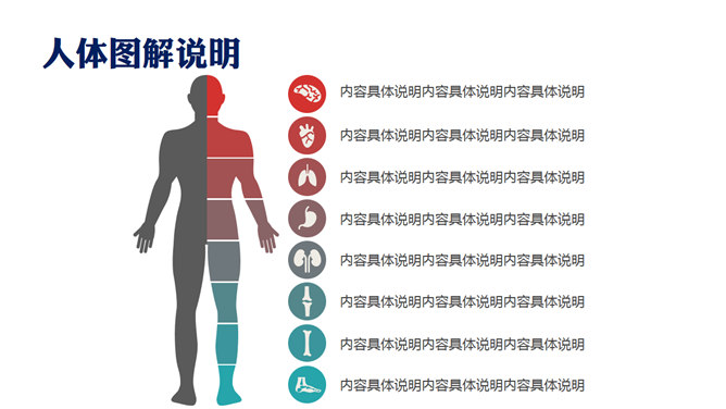 医学图表与图标PPT素材包
