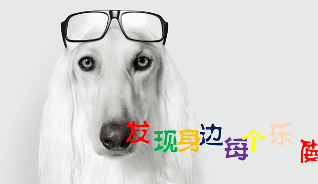 分享快乐――叶落PPT模板