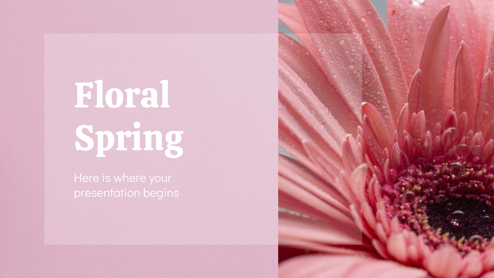 Floral Spring 和PowerPoint模板