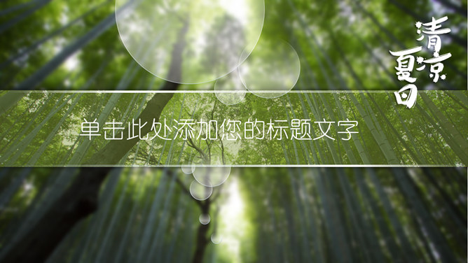 清凉夏日竹林主题PPT模板