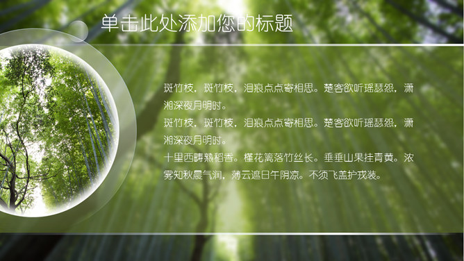 清凉夏日竹林主题PPT模板