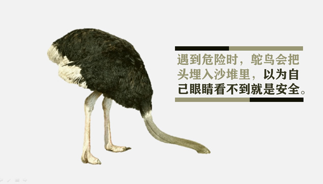 鸵鸟心态哲理故事PPT模板