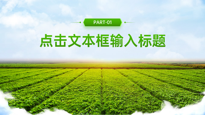 绿色农业风乡村介绍