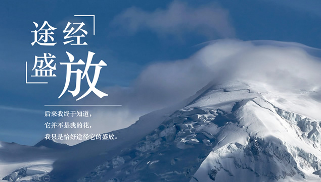 简约极美文字大图排版PPT模板