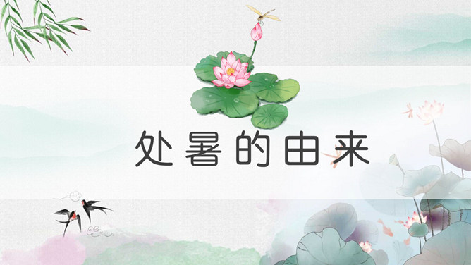 荷花蜻蜓处暑节气PPT模板