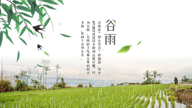 谷雨——二十四节气PPT模板