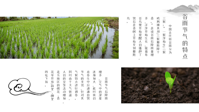 谷雨——二十四节气PPT模板