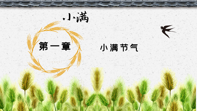 麦穗燕子小满节气PPT模板