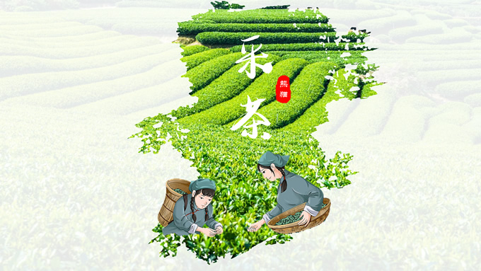 熊猫日常练习个人PPT作品合集