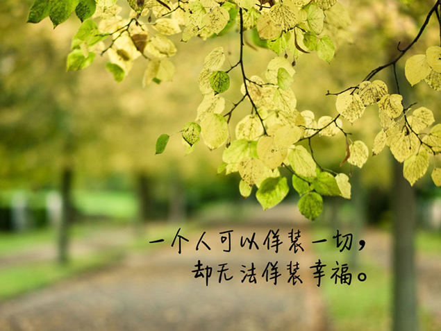 爱的箴言爱情主题背景PPT模板