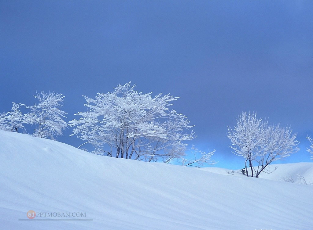 19张雪景PPT背景图片下载