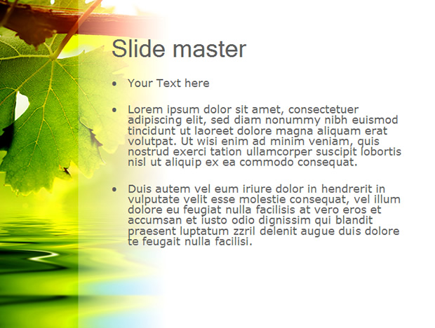 葡萄藤叶绿色自然风PPT模板