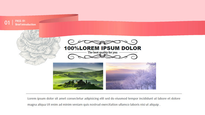 清新复古欧式花鸟PPT模板