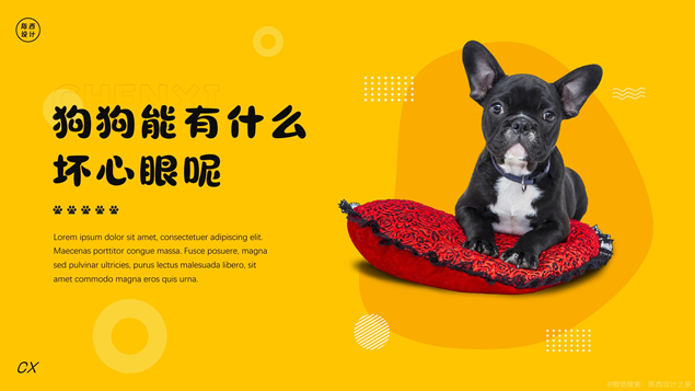 时尚可爱狗狗动物主题PPT模板