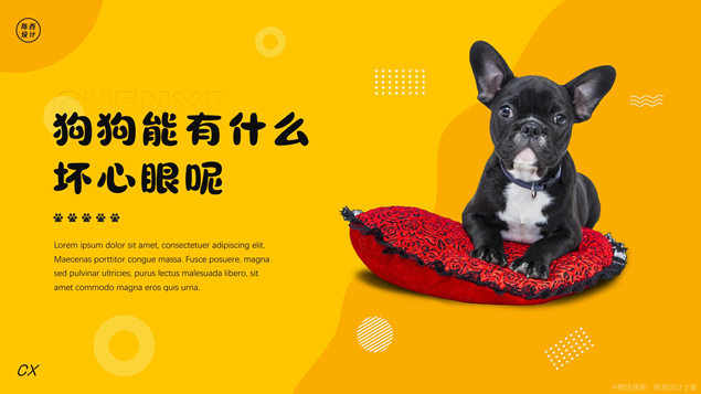 时尚可爱狗狗动物主题PPT模板