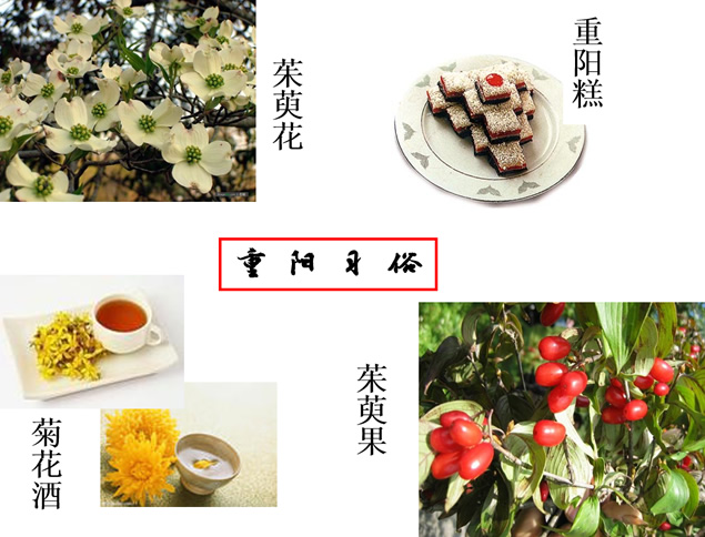重阳节主题班会PPT模板