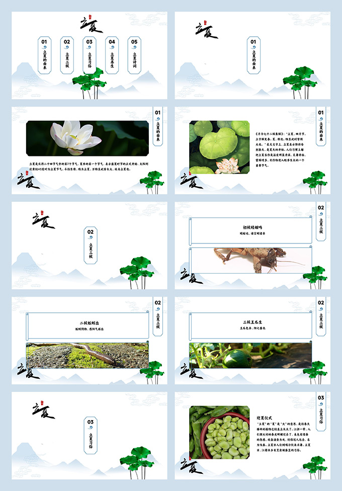 简约国风立夏节气PPT模板