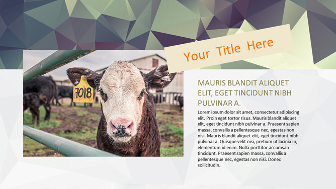 低多边形文艺风格PPT模板