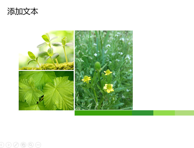 Arbor Day312植树节PPT模板