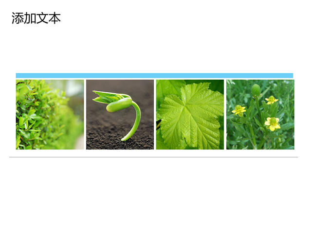 Arbor Day312植树节PPT模板