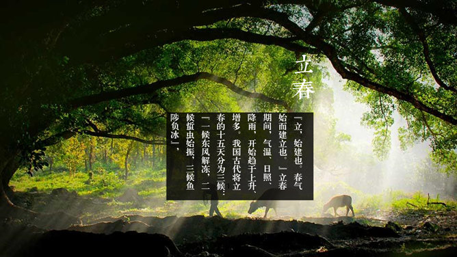 精美配图二十四节气PPT模板