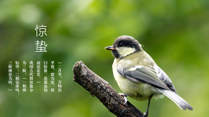精美配图二十四节气PPT模板