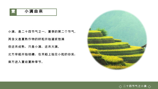 梯田小满节气主题PPT模板