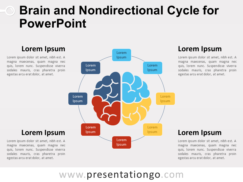PowerPoint的大脑和非定向循环