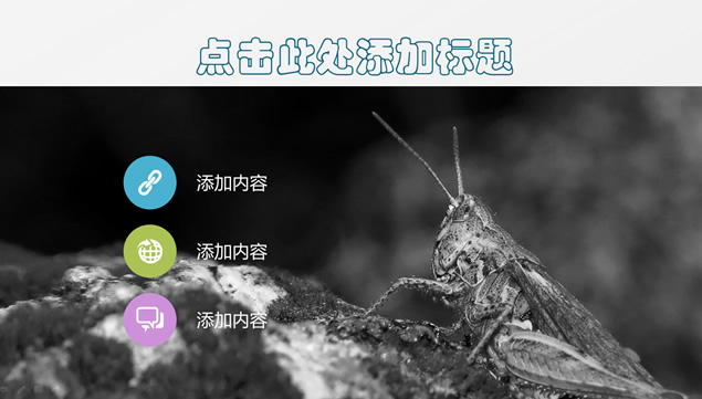 扁平化经典灰背景商务PPT模板