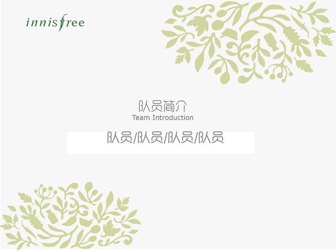 化妆品营销案例幻灯片模板