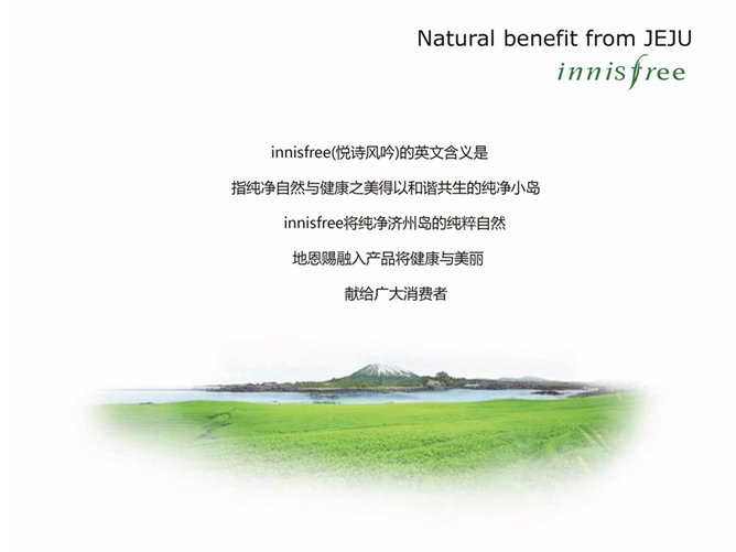 化妆品营销案例幻灯片模板