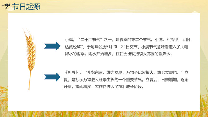 稻田稻草人小满节气PPT模板