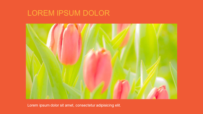 萌趣可爱卡通小羊PPT模板