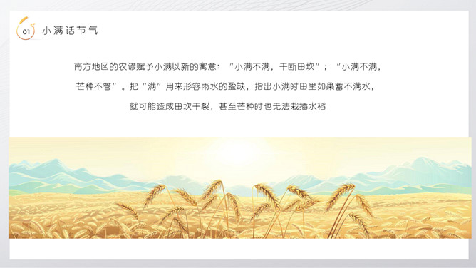 麦穗小满节气介绍PPT模板