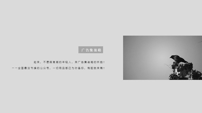 创意文艺风动态笼中小鸟PPT模板