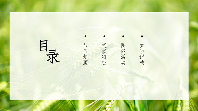 麦田小满节气介绍PPT模板