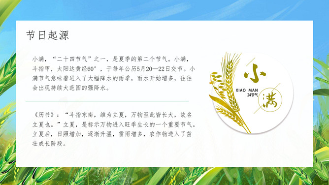 麦田小满节气介绍PPT模板