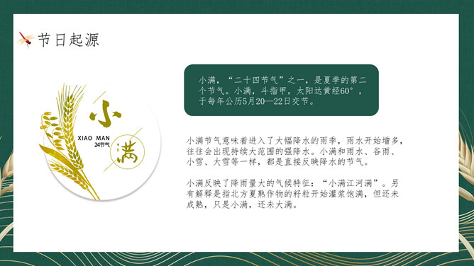 麦穗小满节气主题PPT模板
