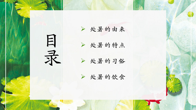 荷花西瓜处暑节气PPT模板