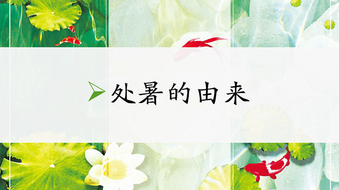 荷花西瓜处暑节气PPT模板
