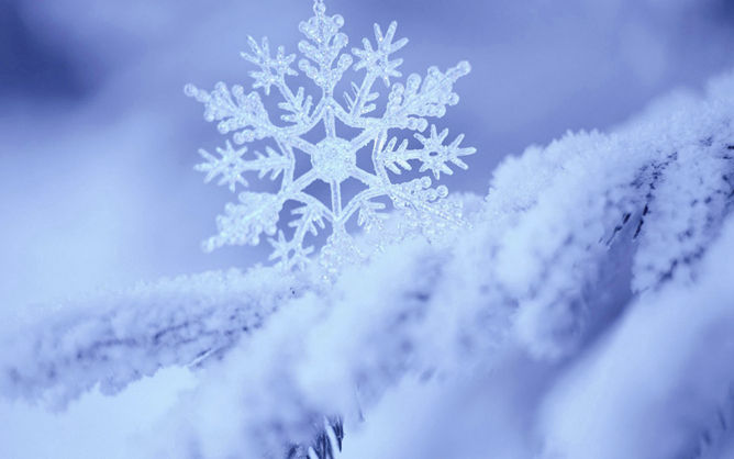 雪花特写PPT背景图片