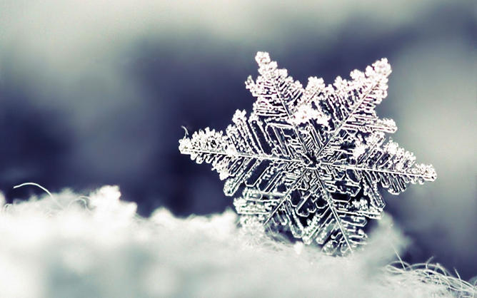 雪花特写PPT背景图片