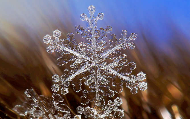 雪花特写PPT背景图片