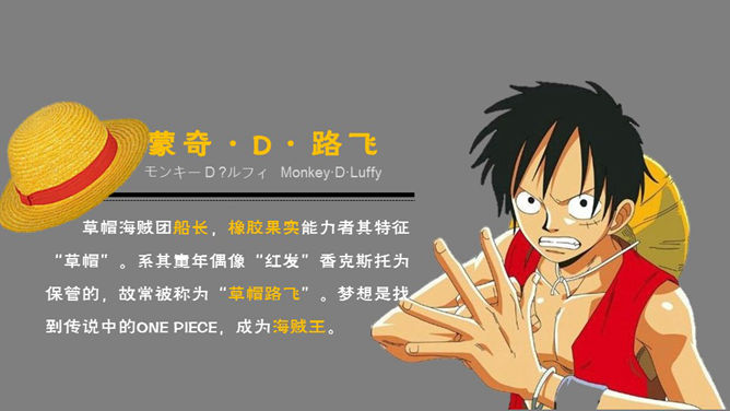 海贼王主要人物介绍PPT