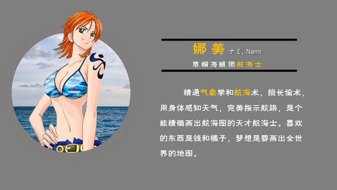 海贼王主要人物介绍PPT