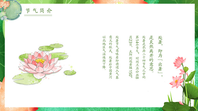 荷花锦鲤处暑节气PPT模板