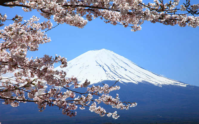 富士山樱花主题幻灯片背景
